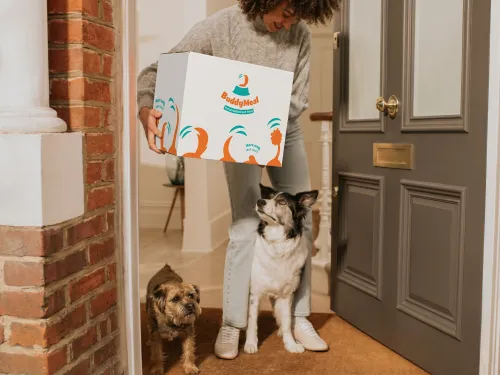 How BuddyMeal Builds Your Dog's Custom Blend