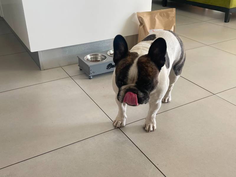 Bruno