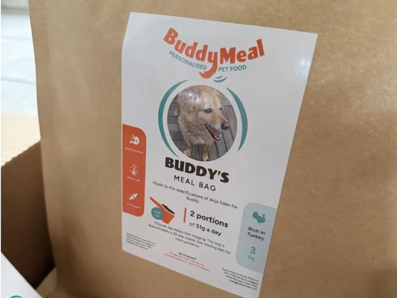 Buddy