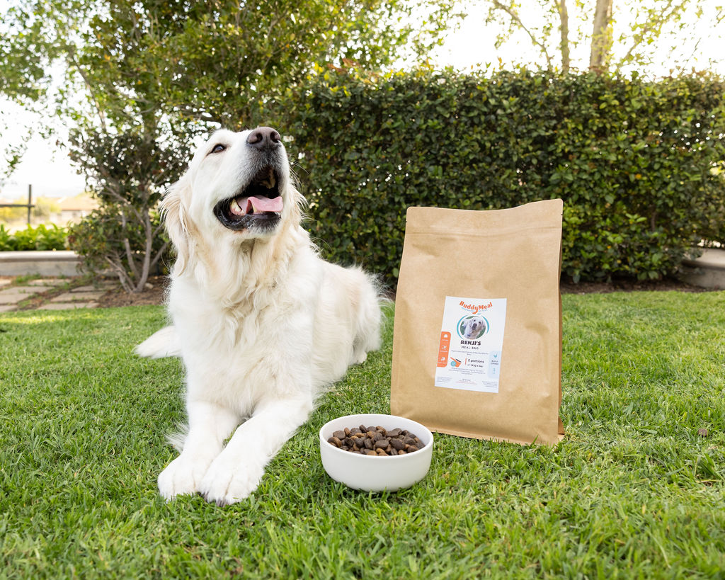 Could BuddyMeal help with itchy skin
